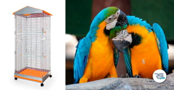 New aviary for parrots by RSL